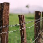 Photo Fence post