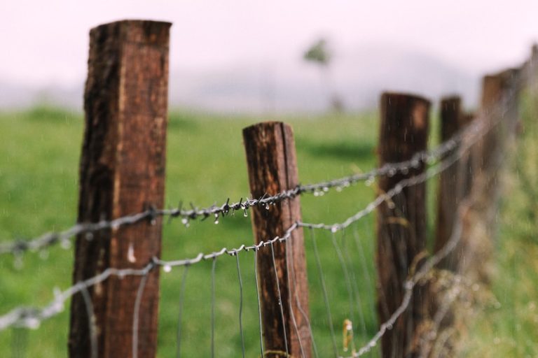 Photo Fence post