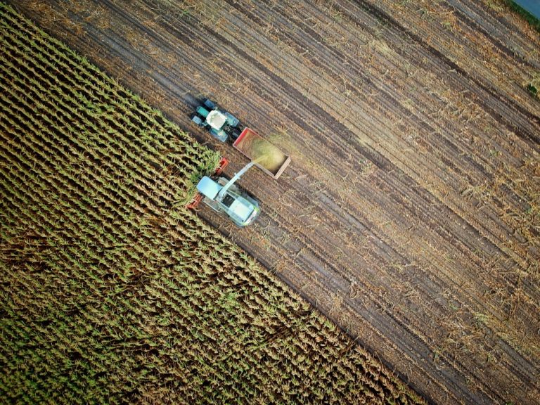 Photo Struggling farmer