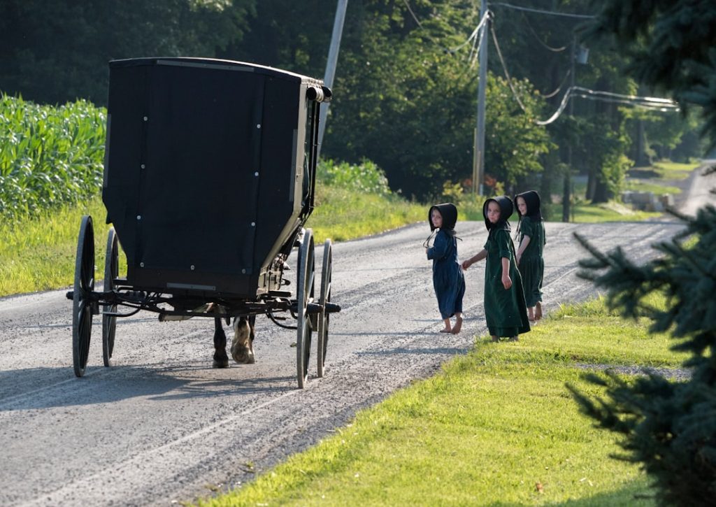 Photo Horse and cart